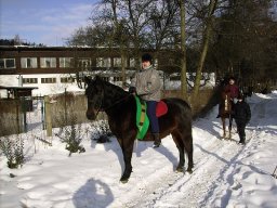 Zima 2009